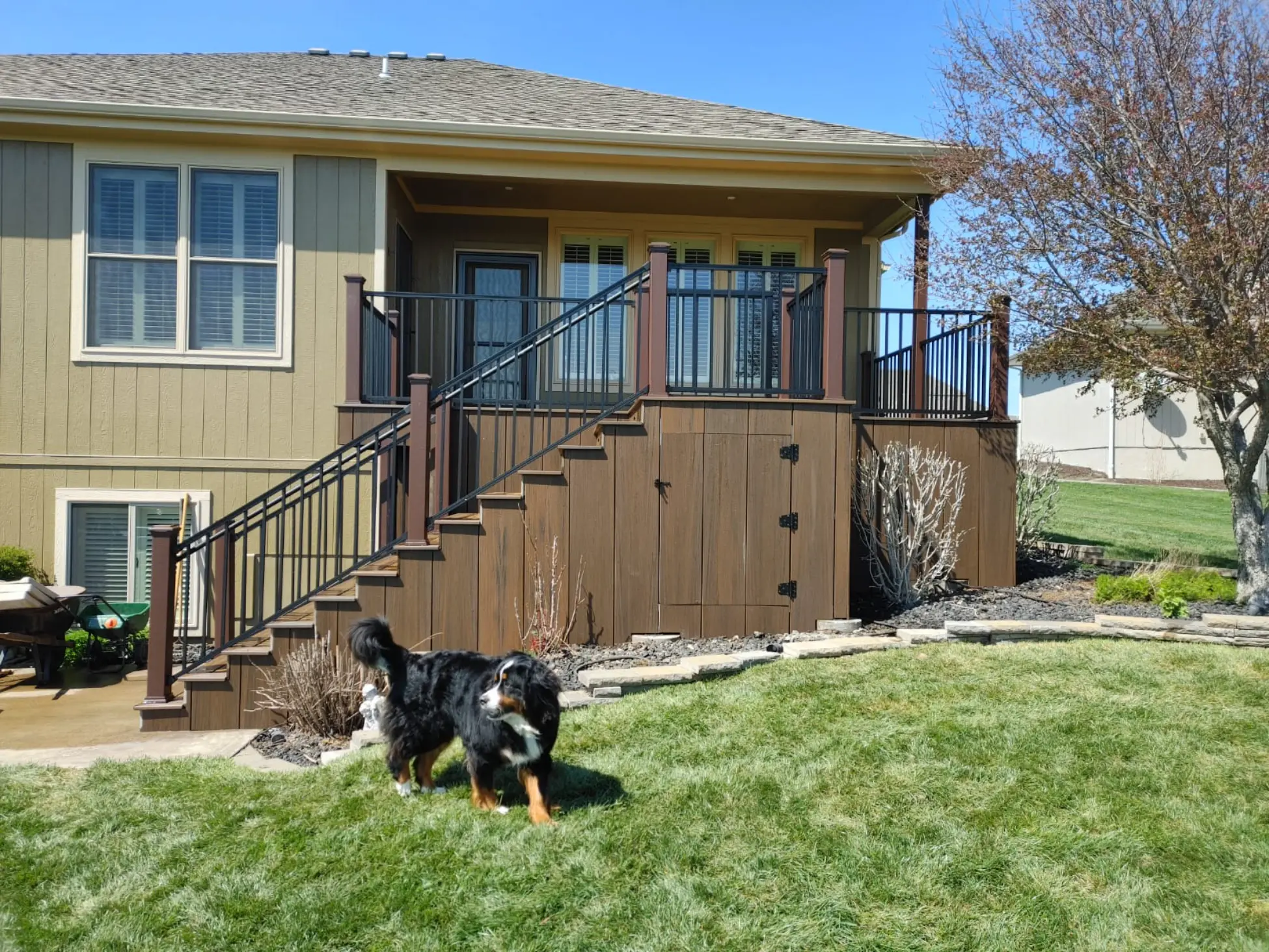 The Luthye Trex Deck Project 11 (1)